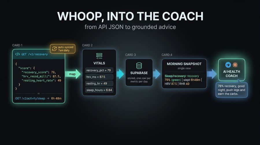Caminho dos dados do WHOOP: do JSON da API até o coach