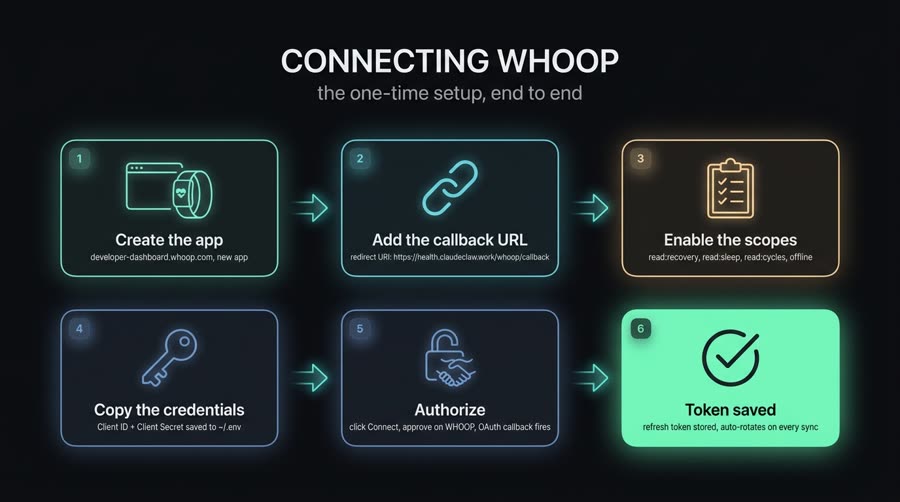 Fluxo de configuração única do WHOOP: app OAuth, callback e escopos