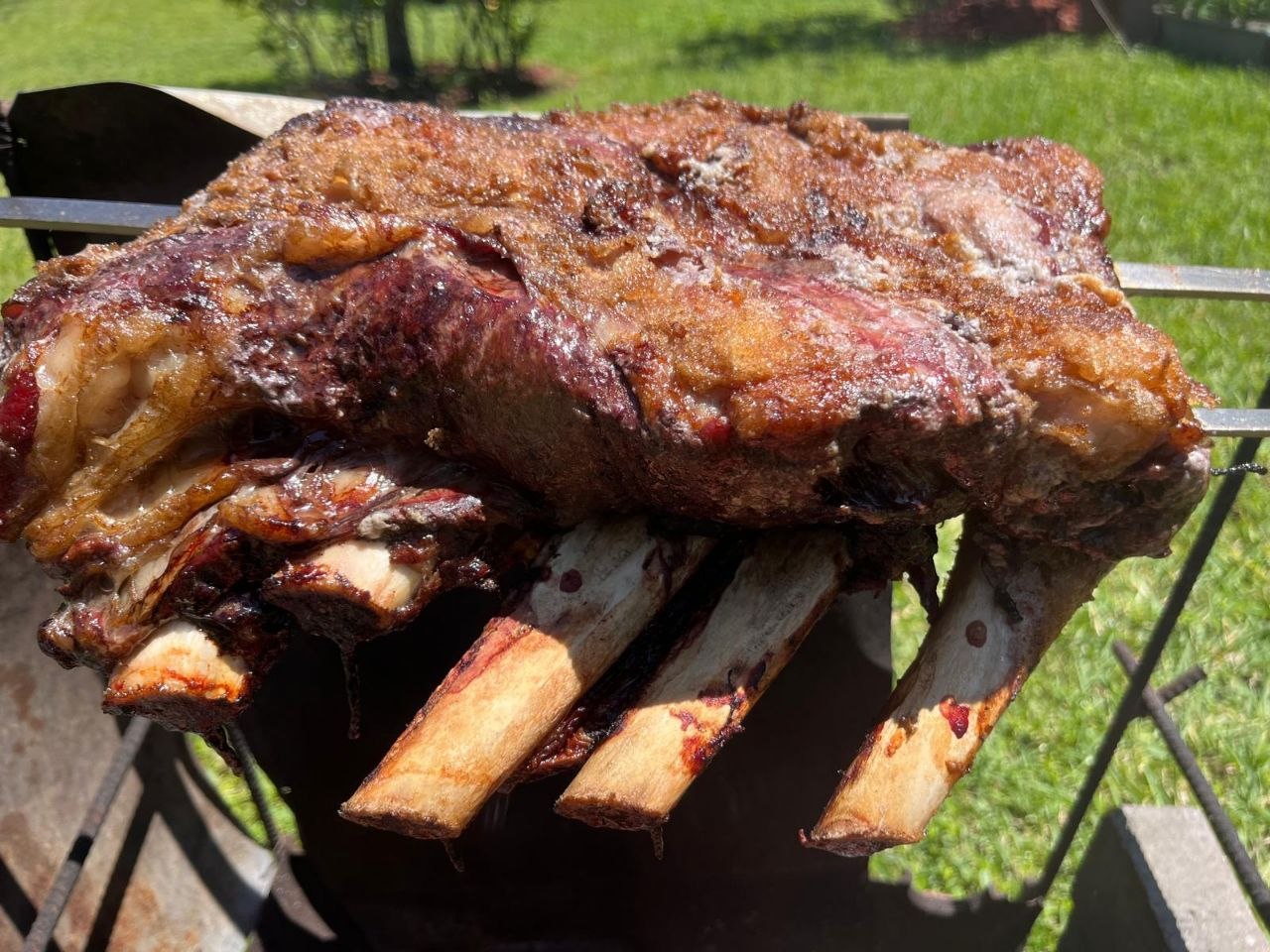 Bone-in ribs perfectly grilled